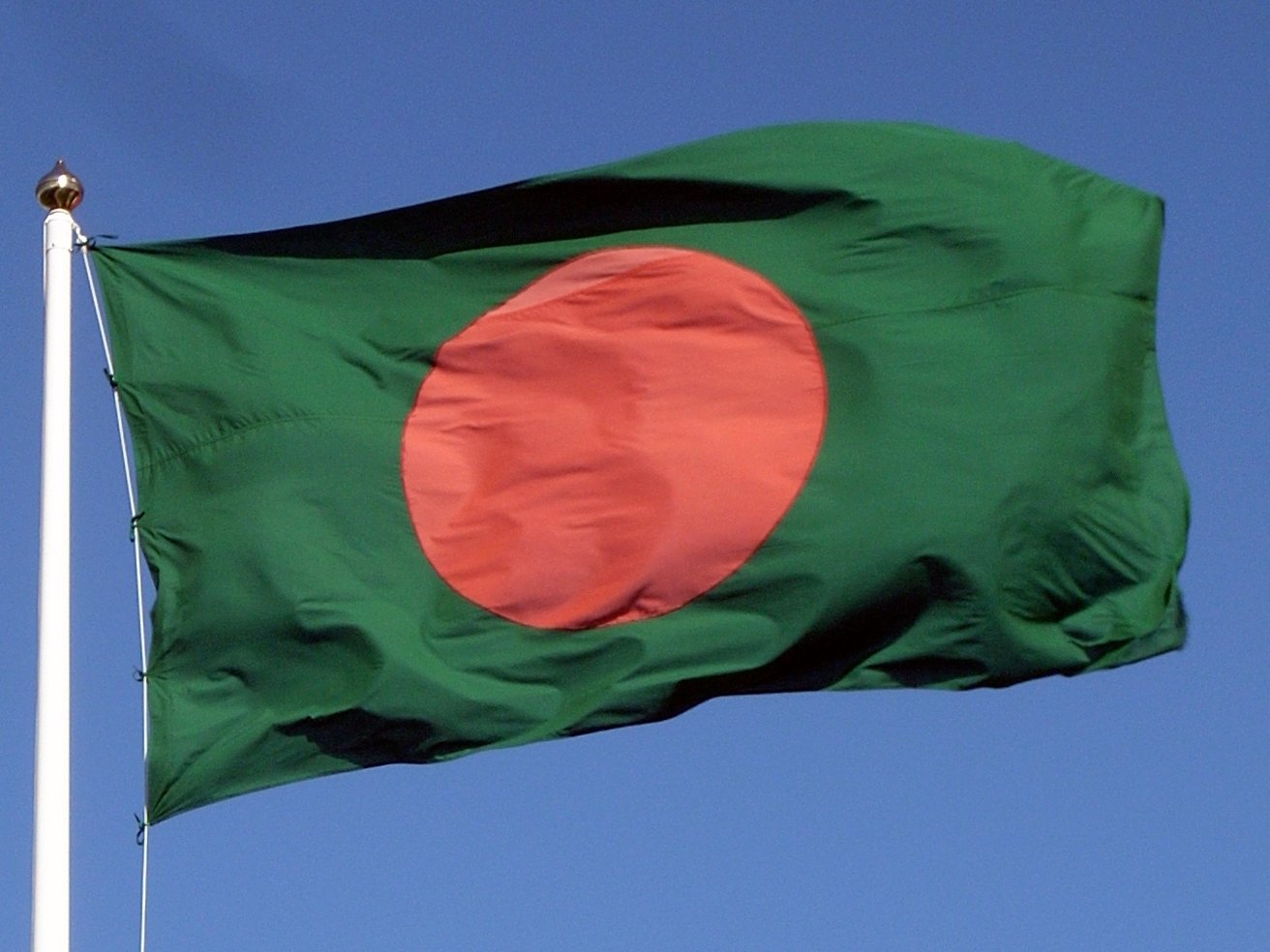 Bangladesh flag copyright free image form Wikimedia commons