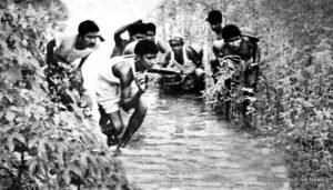 বাংলাদেশের স্বাধীনতা যুদ্ধ, [ Bangladesh Liberation War ]