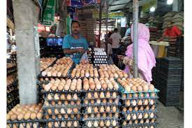 গোপালগঞ্জে ডিমের উৎপাদন বেড়েছে ২ কোটি ২ লাখ 1 গোপালগঞ্জে ডিমের উৎপাদন বেড়েছে ২ কোটি ২ লাখ