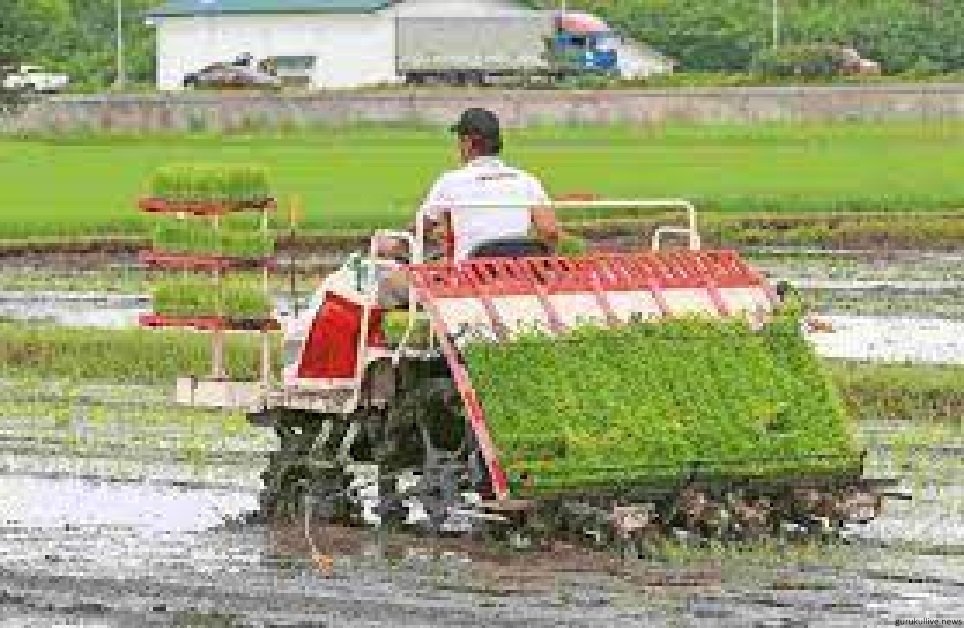 কৃষি উৎপাদনশীলতা উন্নত করার বিষয়ে আন্তর্জাতিক প্রশিক্ষণ শুরু