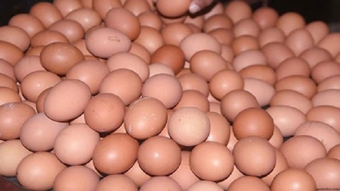 ৪ কোটি ডিম আমদানির অনুমতি